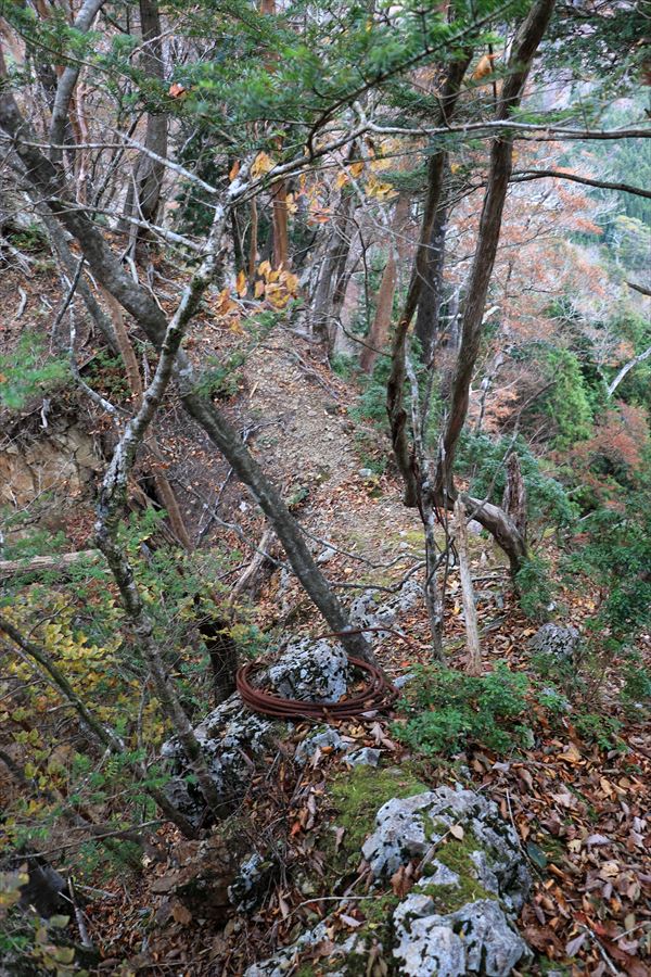 湯谷ノ頭 山ノ神ノ頭 尾根 悪路 ワイヤー 台高山脈