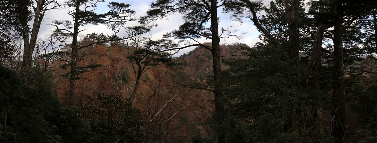 湯谷ノ頭 山ノ神ノ頭 展望 悪路 台高山脈