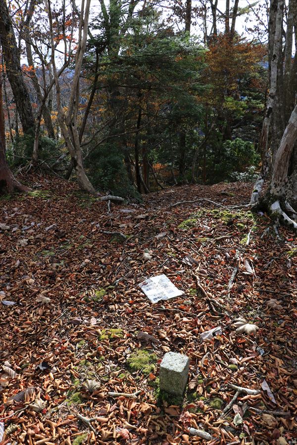山ノ神ノ頭 山頂 看板 台高山脈