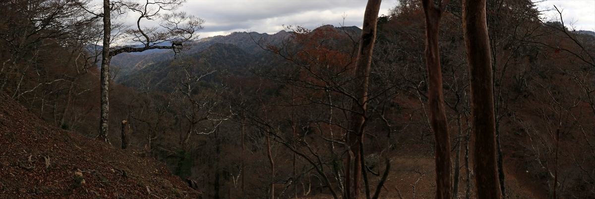 山ノ神ノ頭 山頂 直下 急坂 曇天 台高山脈