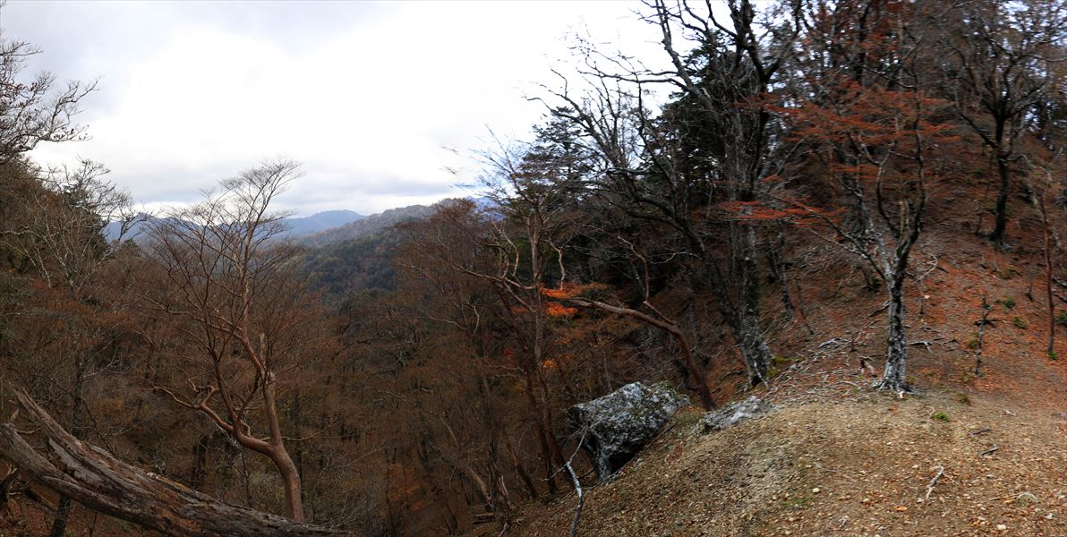 山ノ神ノ頭 山頂 直下 鞍部 台高山脈
