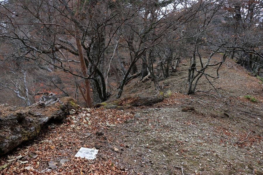 カコウキ越 看板 台高山脈