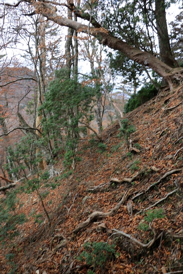 カコウキ越 地池越 トラバース ザレ場 危険 台高山脈
