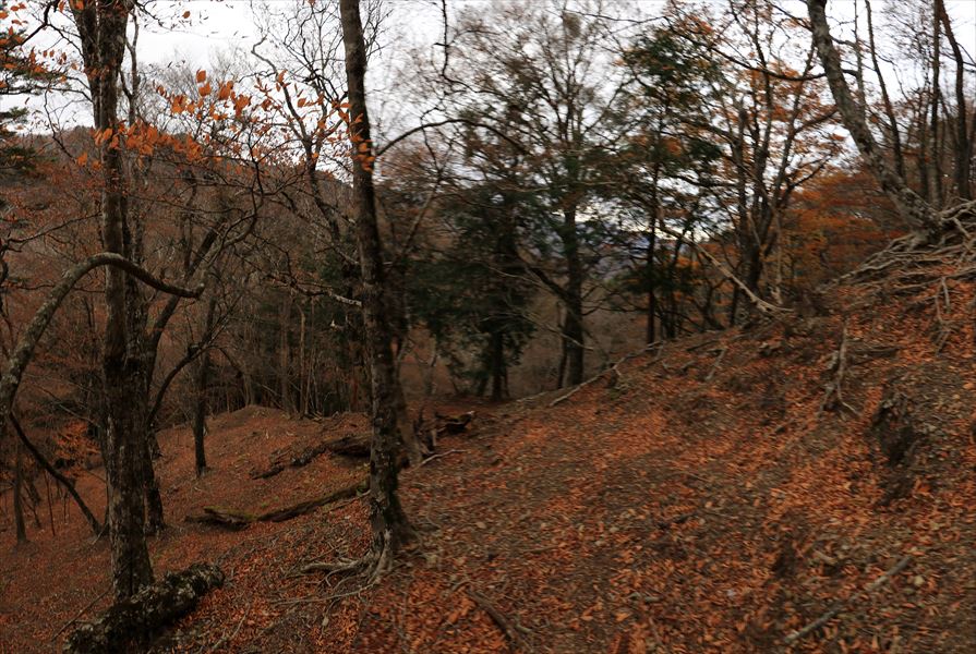 カコウキ越 地池越 稜線 復帰 台高山脈