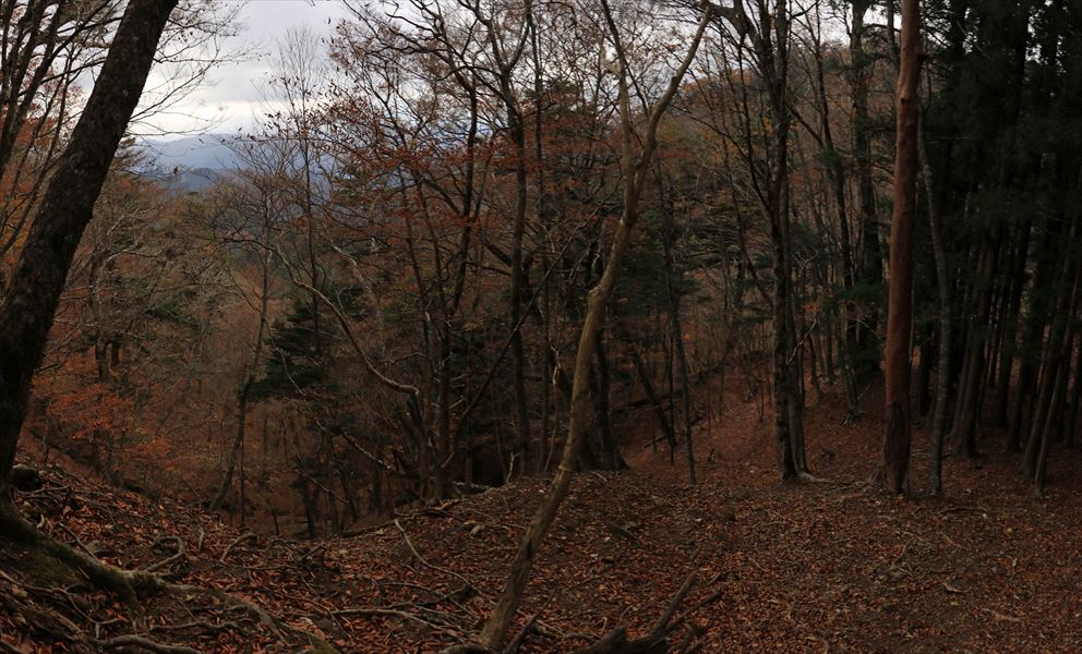 カコウキ越 地池越 尾根 樹林帯 台高山脈