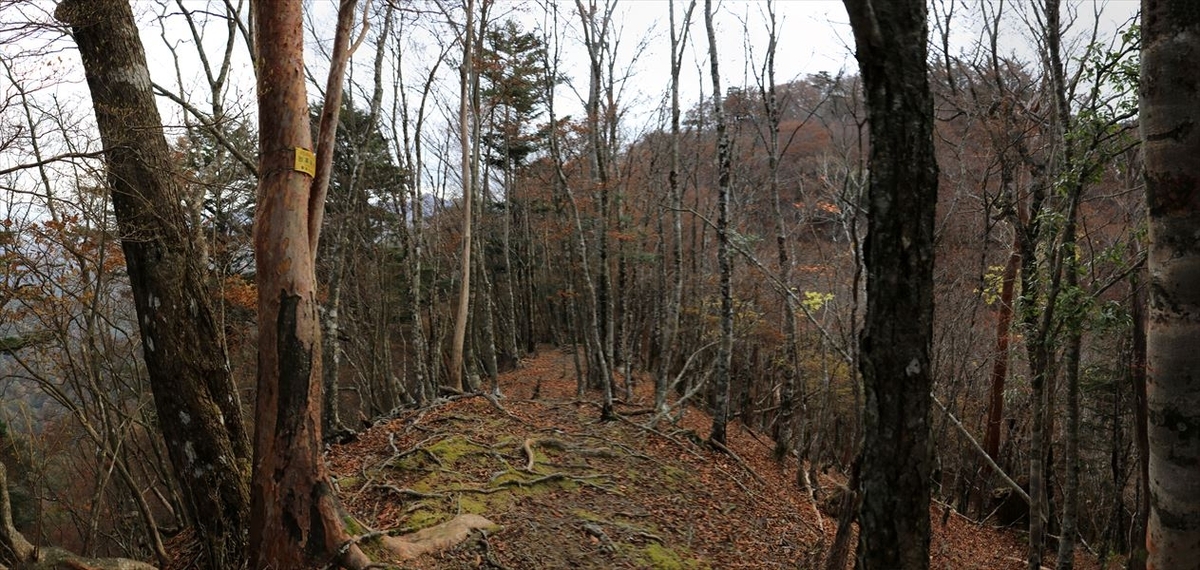地池越 台高縦走路 看板 急坂 アップダウン 台高山脈