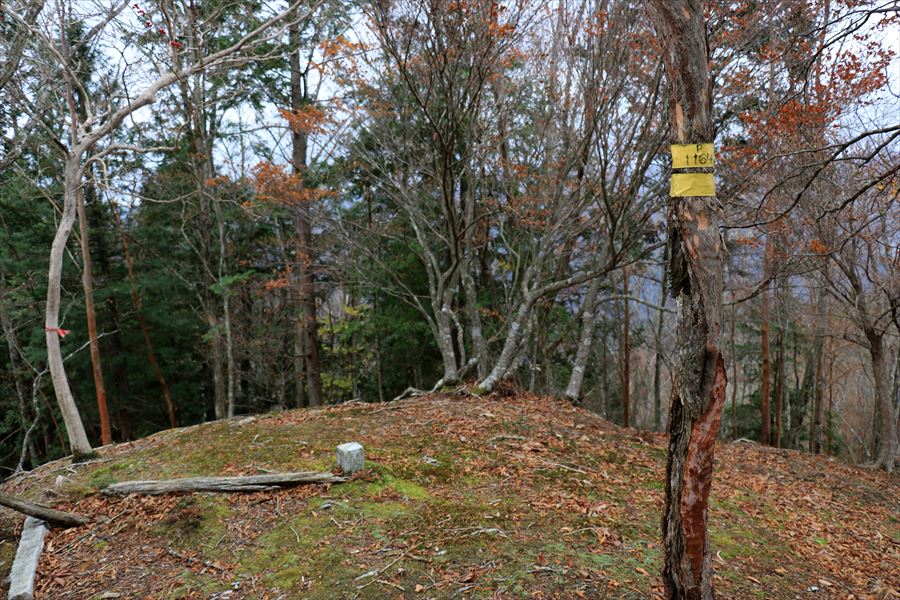 地池越 馬ノ鞍峰 1164ピーク 台高山脈