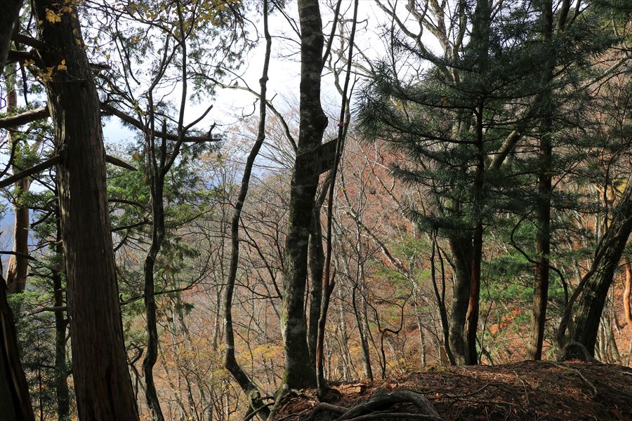 地池越 馬ノ鞍峰 指導標 台高山脈