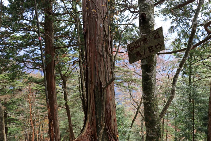 地池越 馬ノ鞍峰 案内看板 台高山脈