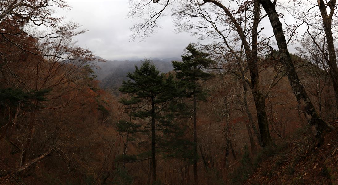 馬ノ鞍峰 山頂直下 展望 台高山脈