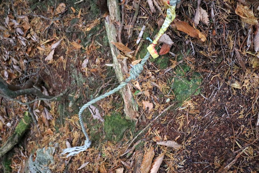 千切れたロープ 馬ノ鞍峰 霧ノ平 岩稜 急登 難所 台高山脈