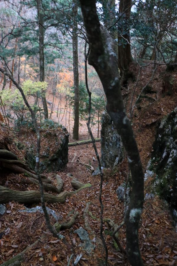 馬ノ鞍峰 霧ノ平 岩稜 急坂 難所 台高山脈