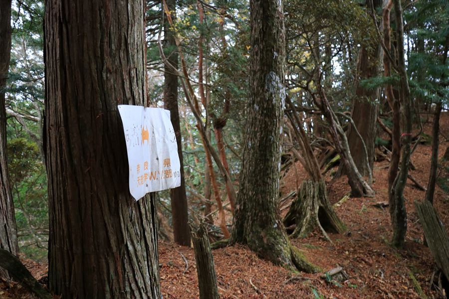 馬ノ鞍峰 霧ノ平 看板 案内 台高山脈