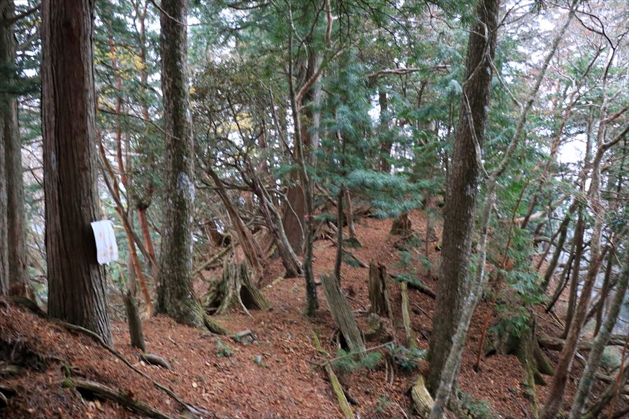 馬ノ鞍峰 霧ノ平 尾根 看板 台高山脈