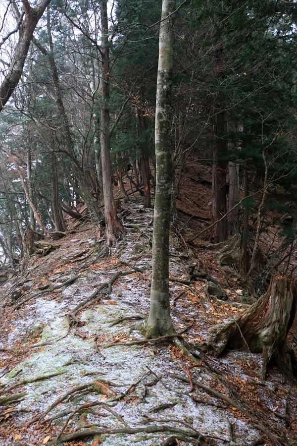 馬ノ鞍峰 霧ノ平 尾根 積雪 台高山脈