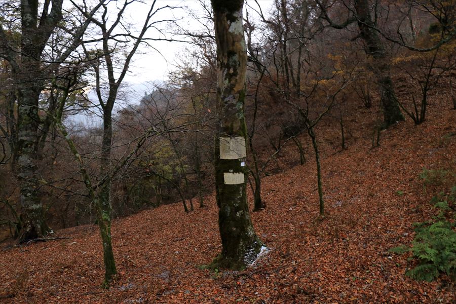 霧ノ平 看板 台高山脈