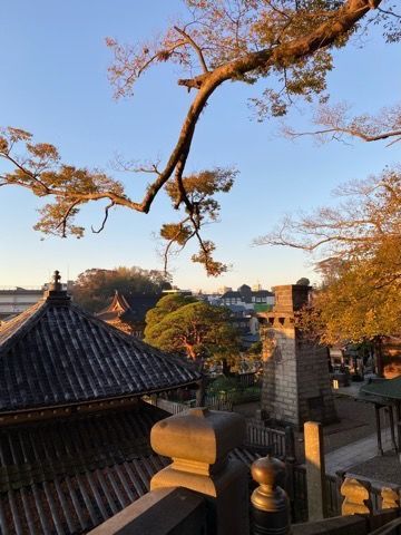 f:id:SITOSA99:20191117155013j:plain