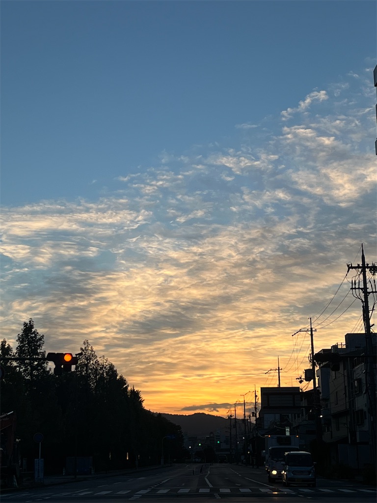 f:id:SKNHKN:20220324220321j:image
