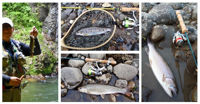 イントロ以上 インプレ未満 の サクラマス用ロッド物語 - デンキチの