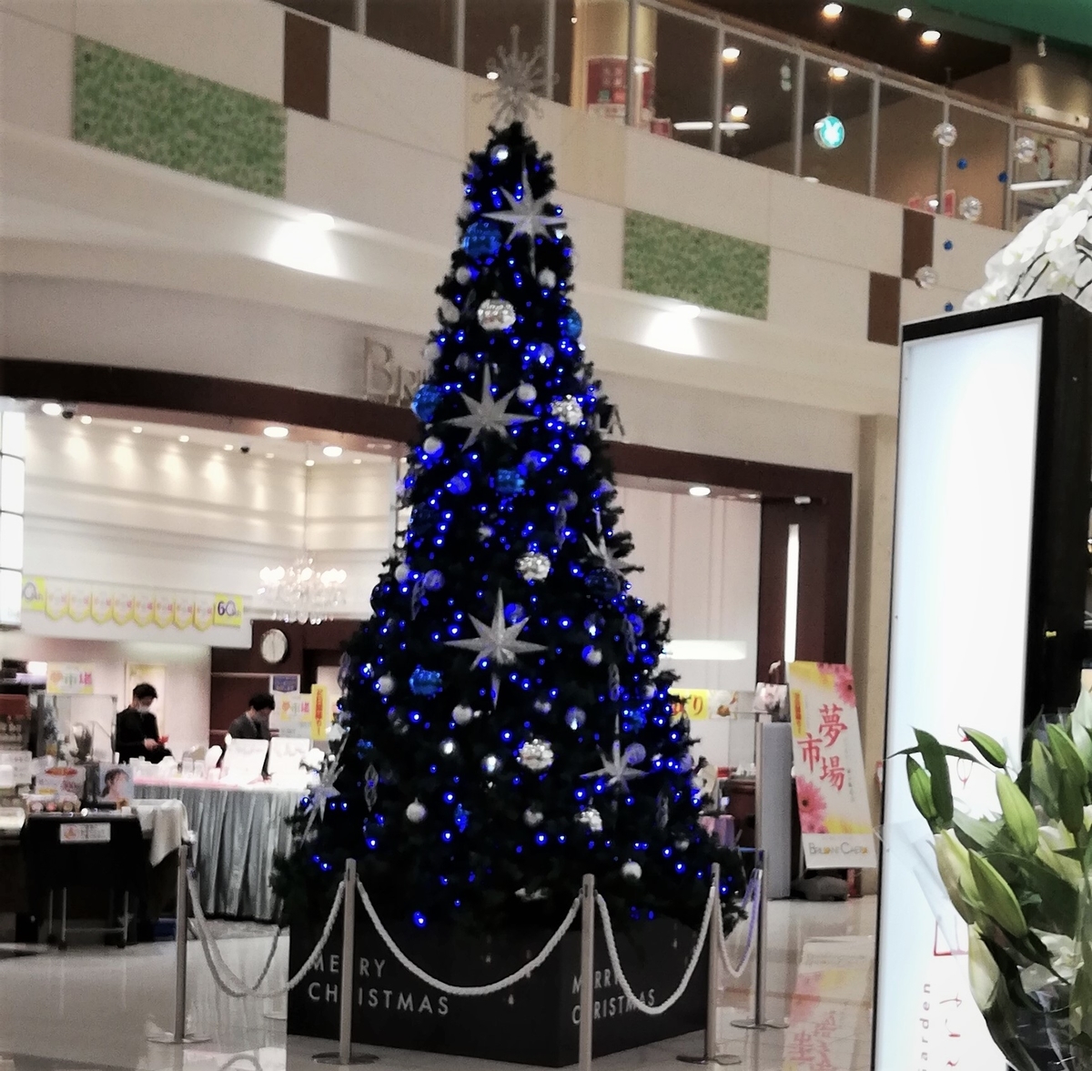 f:id:SM4321:20211204131905j:plain
