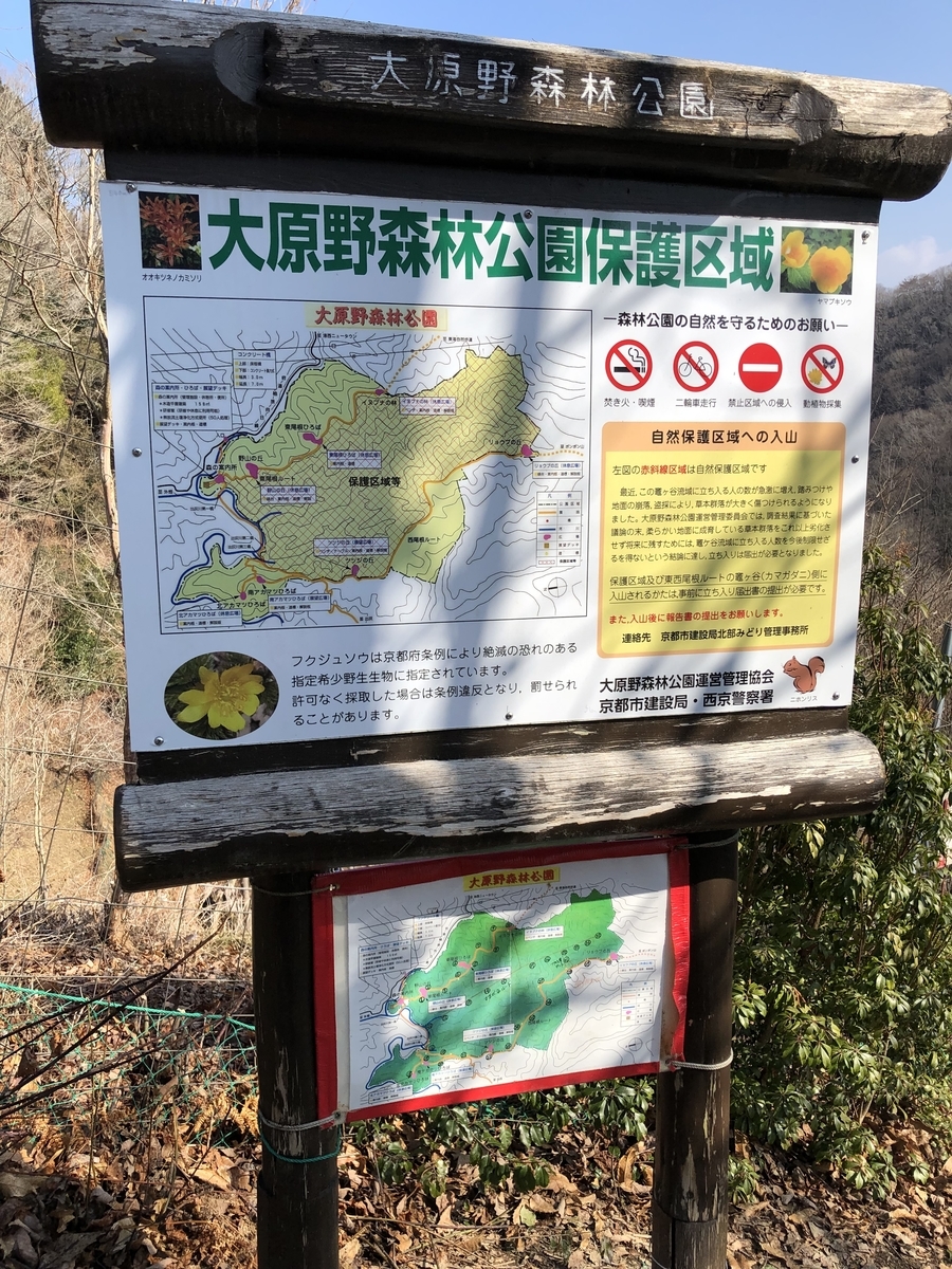 フクジュソウのポンポン山 Smppie S Blog