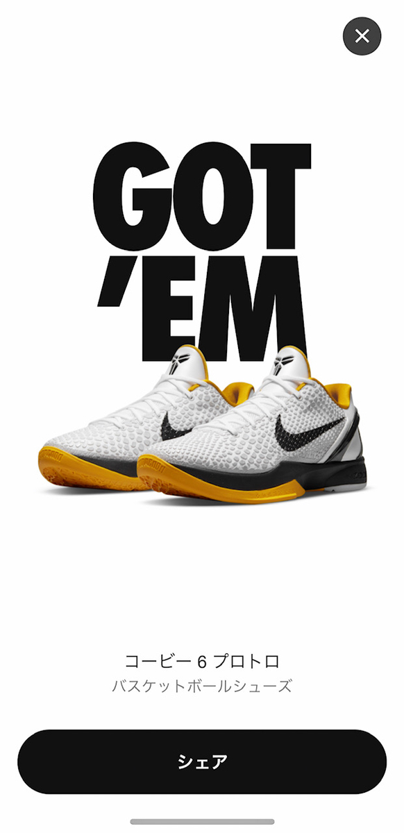 NIKE KOBE VI PROTRO