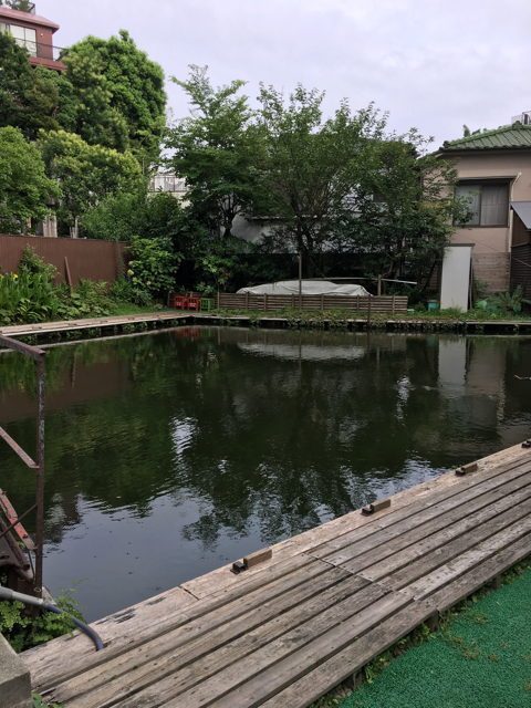 f:id:SNOWLOG:20190731191119j:plain f:id:SNOWLOG:20190731191119j:plain