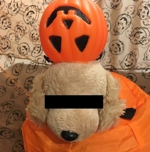 f:id:SNegishi:20201031212631j:plain f:id:SNegishi:20201031212631j:plain