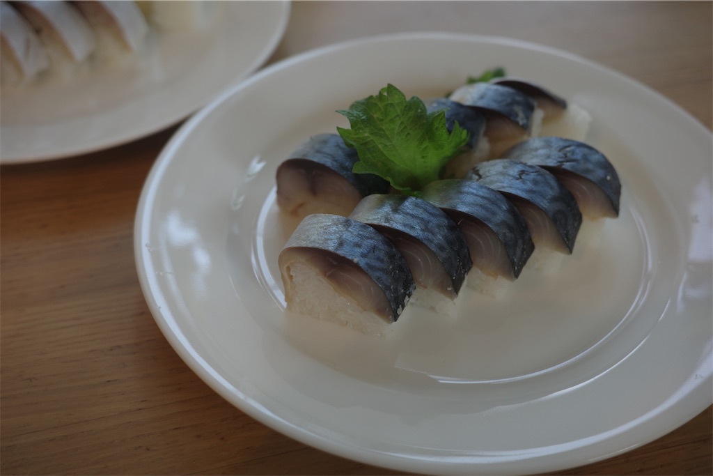 f:id:SOJI:20240502200220j:image