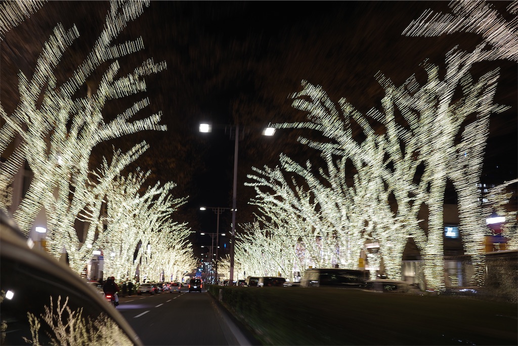 f:id:SOJI:20241222215847j:image