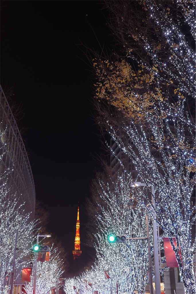 f:id:SOJI:20241222215903j:image