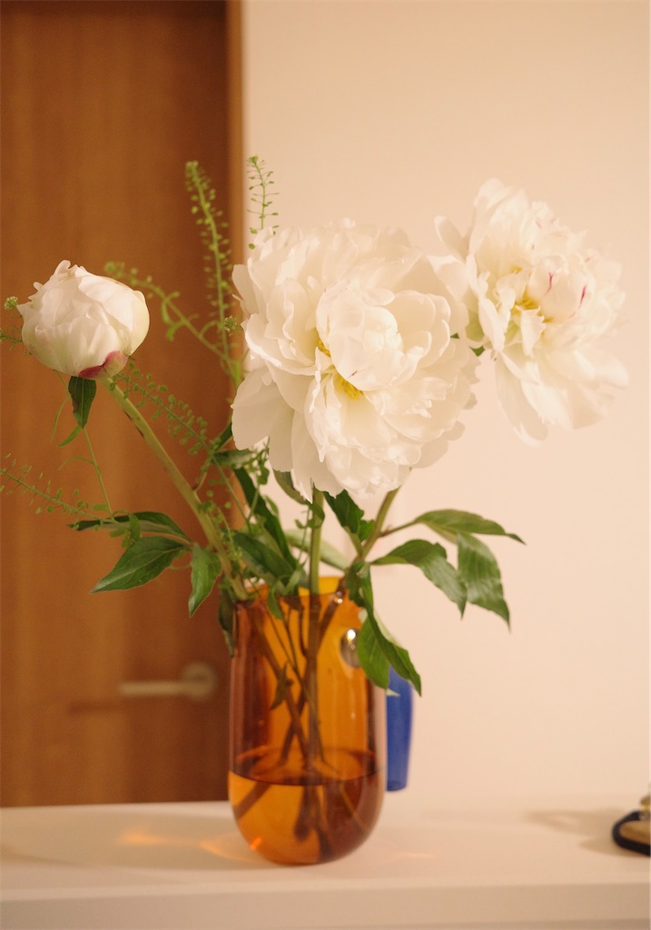 f:id:SOJI:20250519205926j:image