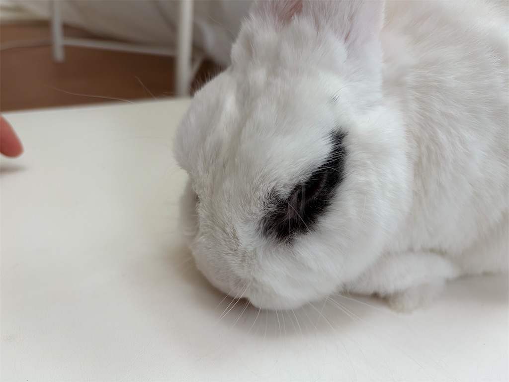 f:id:SOJI:20260119094333j:image