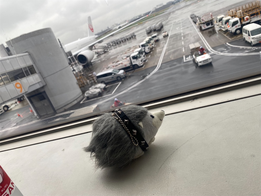 f:id:SOLITUDE:20241107233313j:image f:id:SOLITUDE:20241107233313j:image