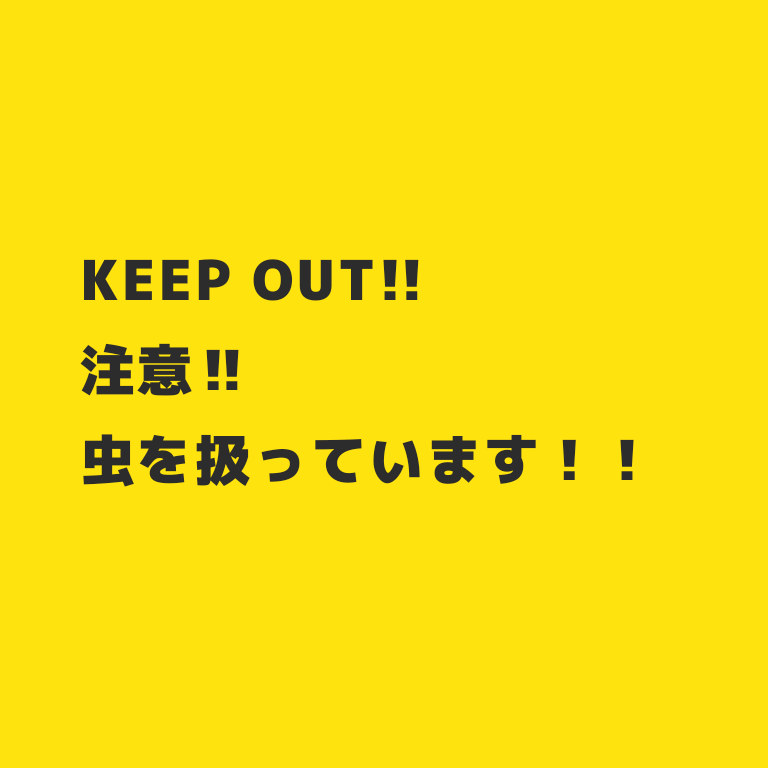 f:id:SOLsoLid:20200718235804p:plain f:id:SOLsoLid:20200718235804p:plain