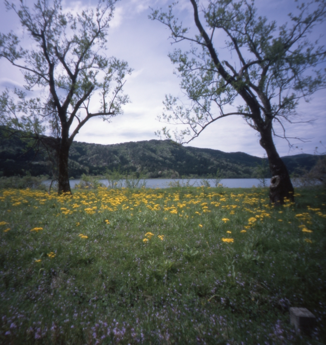 f:id:SORAKAZE:20190508210608j:plain