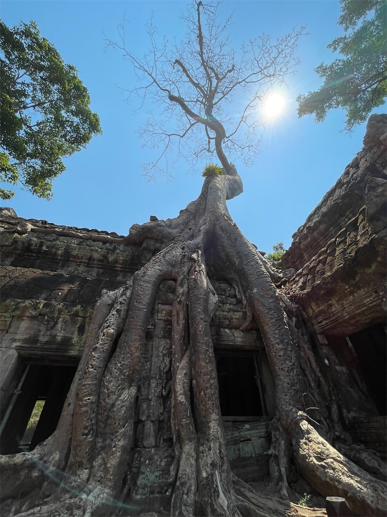 f:id:SOUVENIR:20230405222049j:image f:id:SOUVENIR:20230405222049j:image