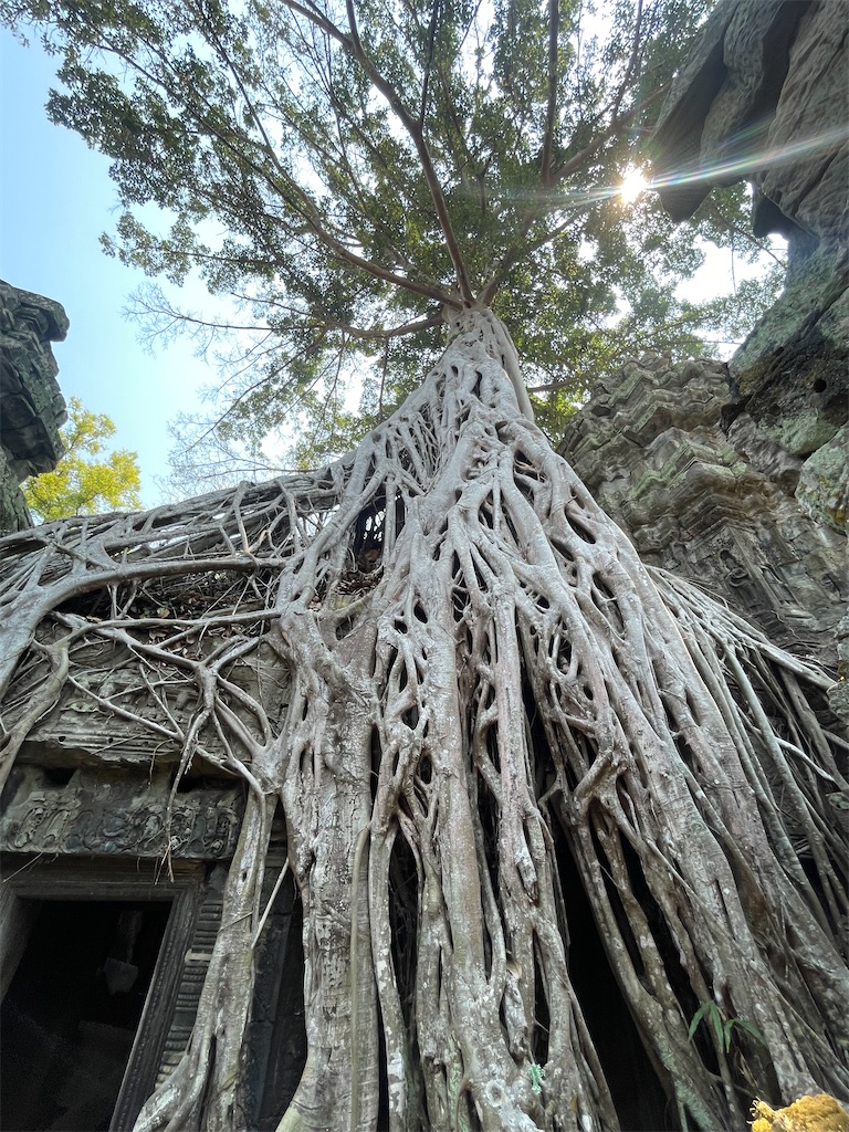 f:id:SOUVENIR:20230407095733j:image f:id:SOUVENIR:20230407095733j:image