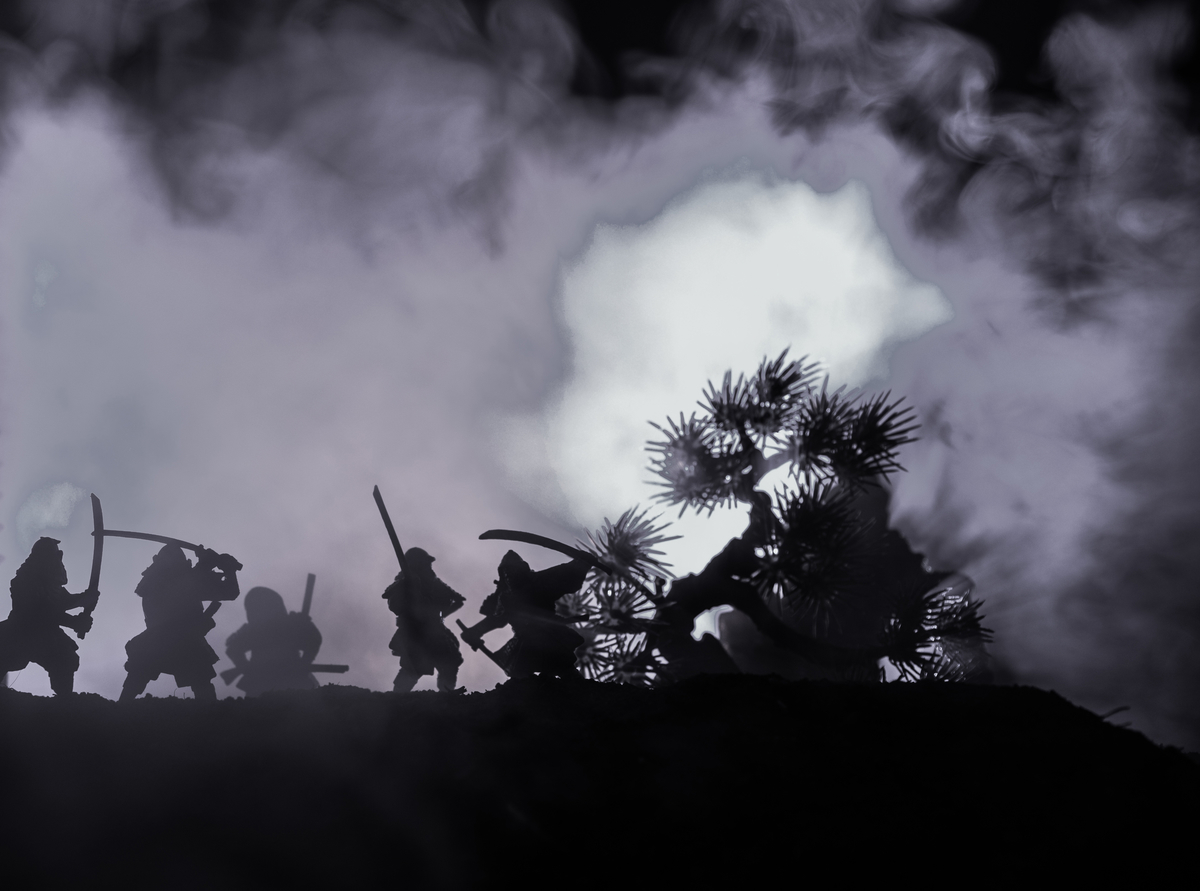 戦国時代を終わらせた陰の立役者 伊賀忍者と甲賀忍者の行く末 青春オンライン