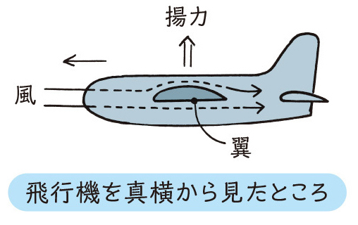ヨットはなぜ風に向かって進む 意外に知らない科学知識3選 青春オンライン ヨットはなぜ風に向かって進む 意外に知らない科学知識3選 青春オンライン