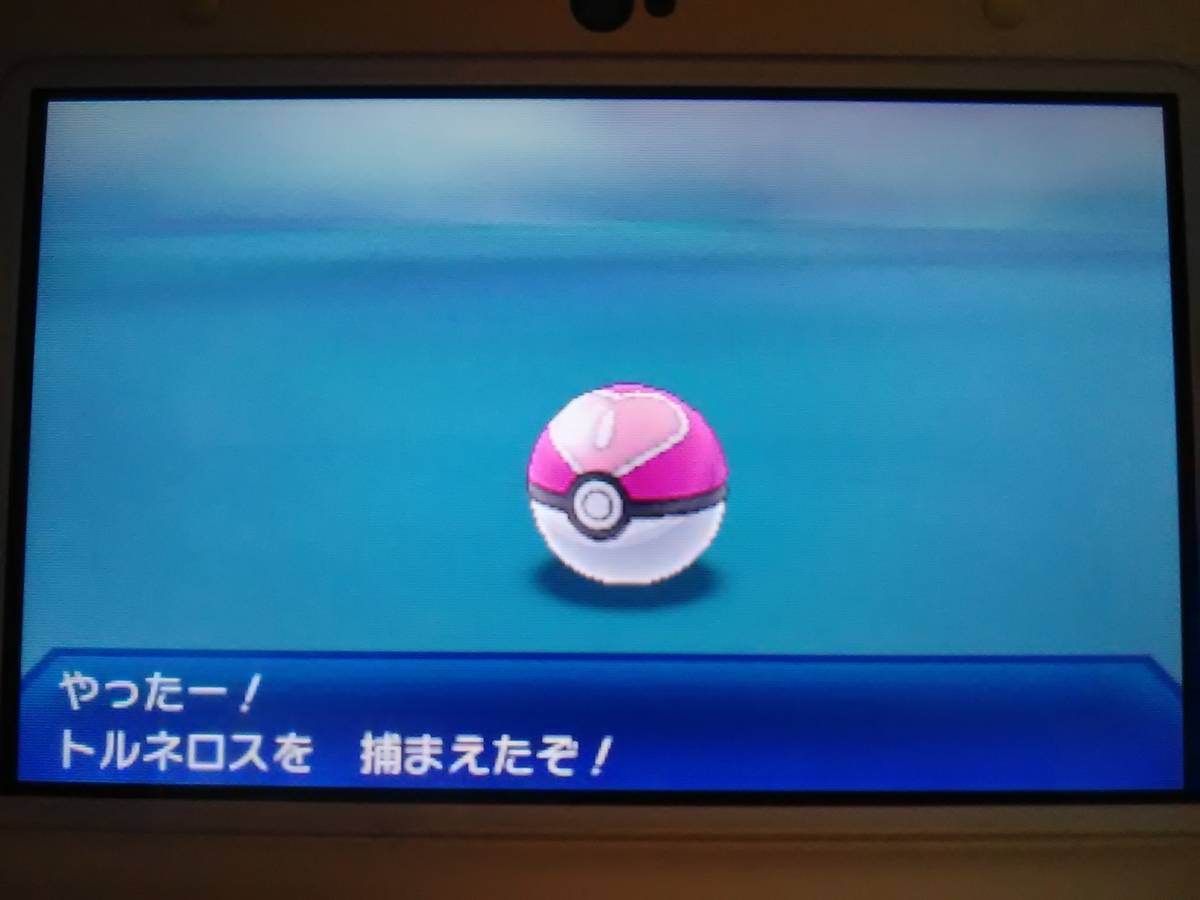 f:id:SPAGONIA:20210127204227j:plain