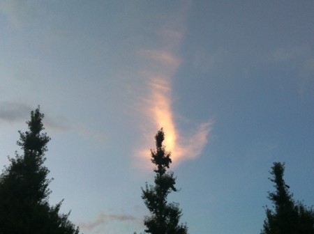 f:id:SPYBOY:20120824182305j:image f:id:SPYBOY:20120824182305j:image