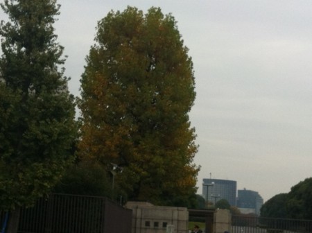 f:id:SPYBOY:20121111145536j:image f:id:SPYBOY:20121111145536j:image