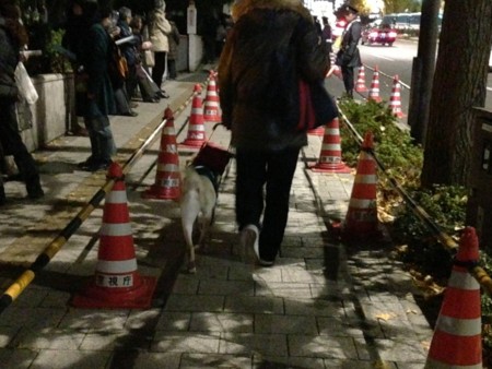 f:id:SPYBOY:20121207185401j:image f:id:SPYBOY:20121207185401j:image