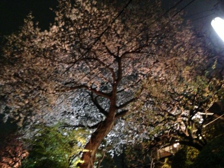 f:id:SPYBOY:20130329195049j:image