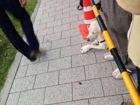 f:id:SPYBOY:20131013170051j:image f:id:SPYBOY:20131013170051j:image