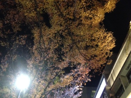 f:id:SPYBOY:20131122214718j:image f:id:SPYBOY:20131122214718j:image