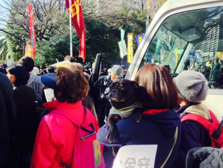 f:id:SPYBOY:20140315145408j:image f:id:SPYBOY:20140315145408j:image