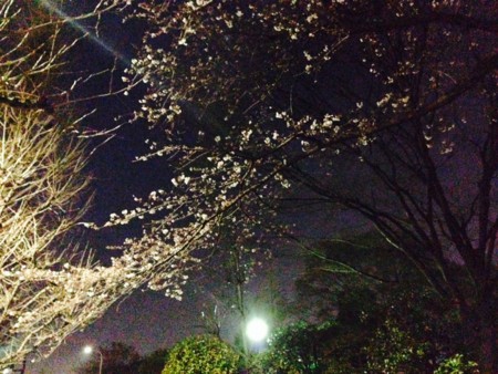 f:id:SPYBOY:20140328190341j:image