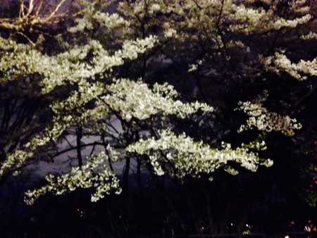 f:id:SPYBOY:20140404190836j:image f:id:SPYBOY:20140404190836j:image